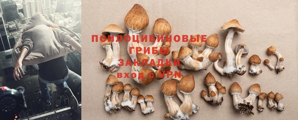 наркотики Заводоуковск