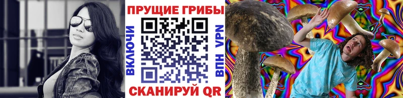 Галлюциногенные грибы прущие грибы  Камышин 