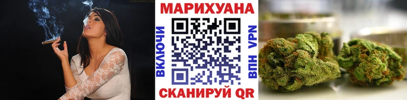 Бошки марихуана гибрид  где купить наркотик  Камышин 